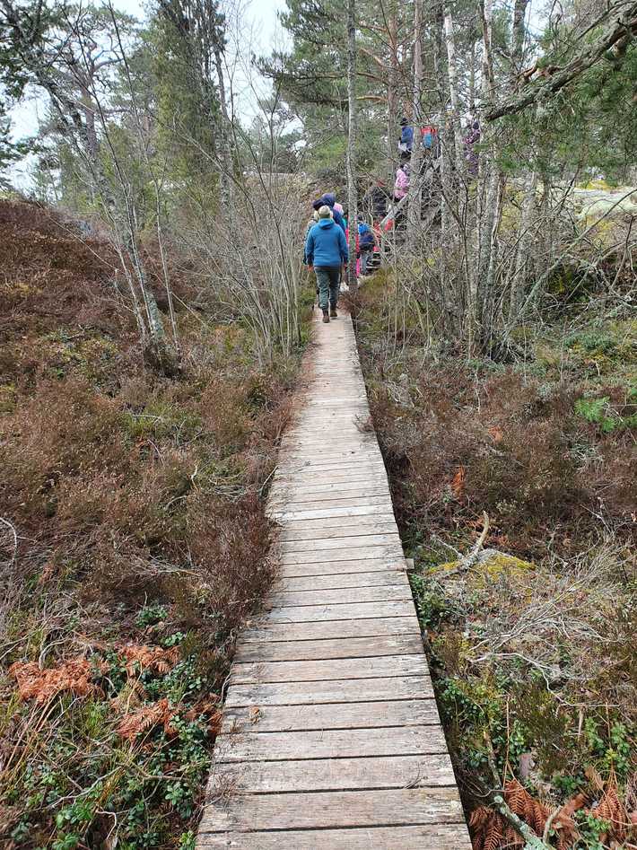 Forskningsutfärd på Tvärminne naturstig