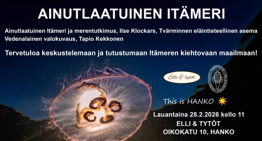 Meduusa vedessä.