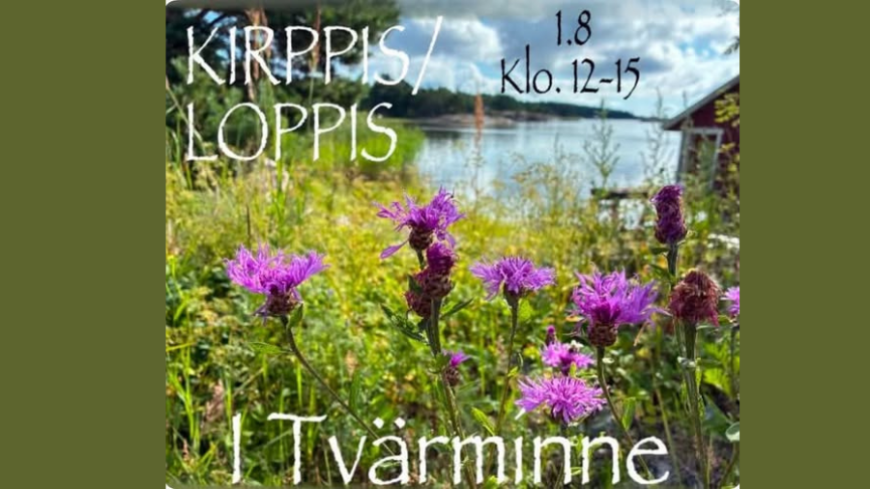 Saaristokuva, luontoa, mökki ja meri.